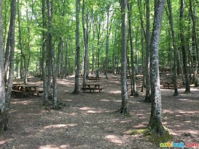 Fatih Çeşmesi Tabiat Parkı