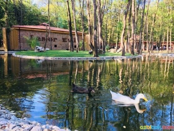 Ormanya Hayvanat Bahçesi Göl Manzarası