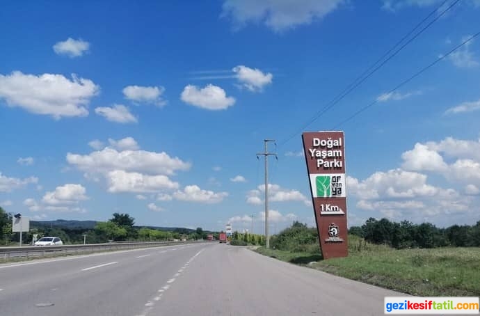 Ormanya D100 Karayolu Giriş Noktası