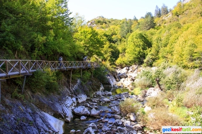 küre dağı milli parkı 