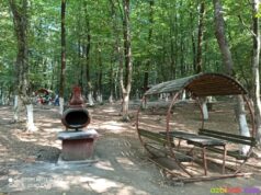 Sakarya’da Piknik Yapılacak Yerler